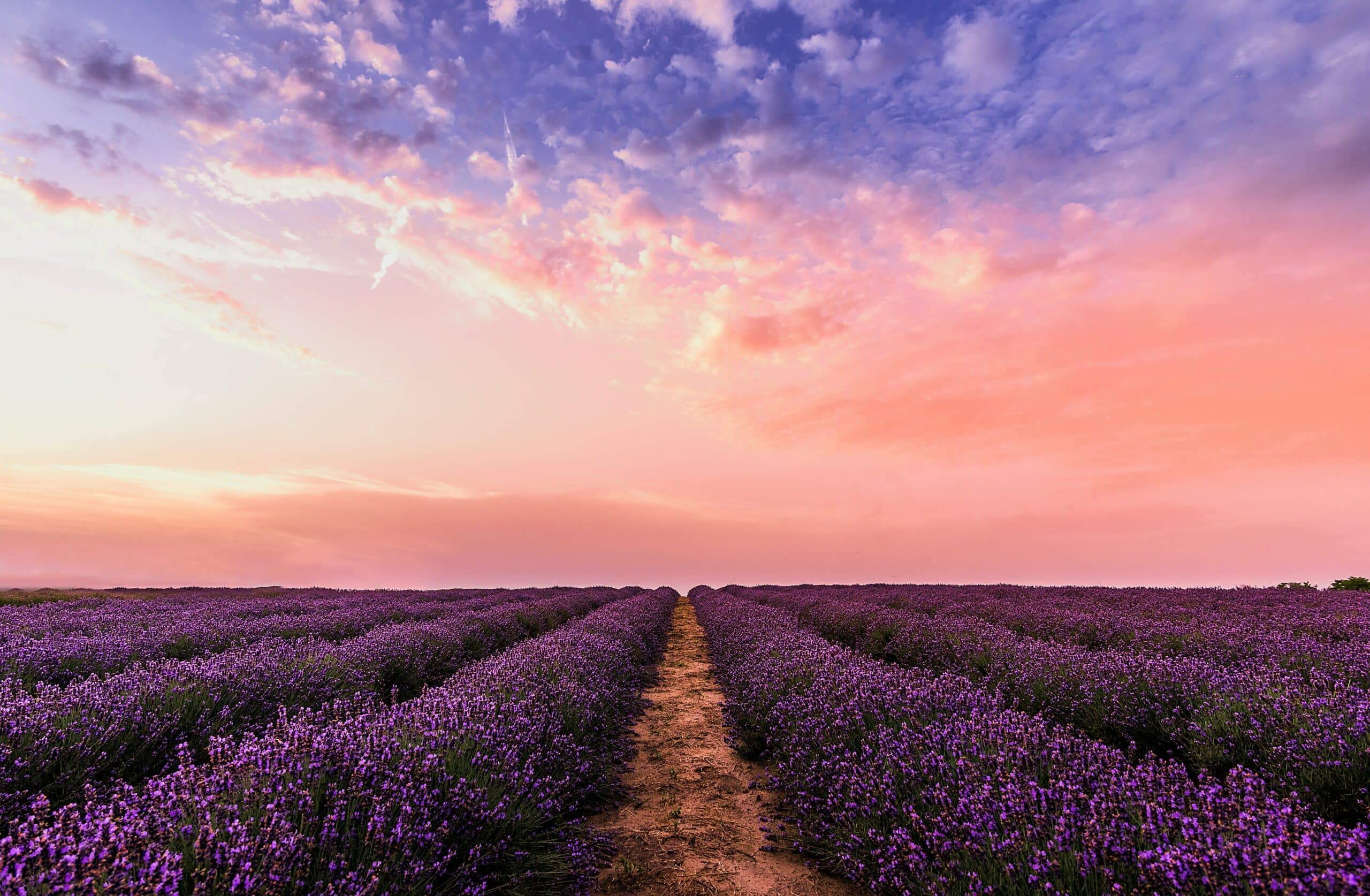 “Abundant Life” Doesn’t Mean What You Think it Means post